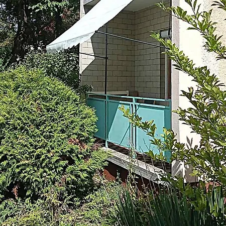 Fuesti Fecske Apartment